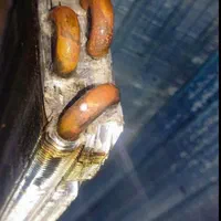 نصب و سرویس و تعمیر کولرگازی ((سیار))|خدمات پیشه و مهارت|بهبهان, |دیوار