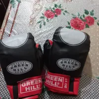 کیسه بوکس و دستکش|تجهیزات ورزشی|کنگاور, |دیوار