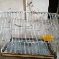 قفس پرنده کوچک و بزرگ