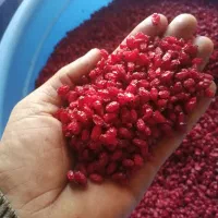 خرید وفروش زرشک ودستگاه کردن