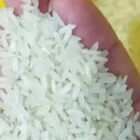 برنج چمپای شیرازی