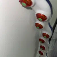 حلقه لاغری سایز بزرگ|تجهیزات ورزشی|اسلامشهر, مطهری|دیوار