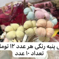 فروش وسایل گل‌آرایی(گلفروشی)|گل و گیاه طبیعی|شیراز, شهرک گلدشت حافظ‎|دیوار