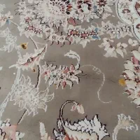 فرش|فرش|قائمشهر, |دیوار