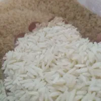 برنج هاشمی سورتینگ شده|خوردنی و آشامیدنی|قم, حاج زینل|دیوار
