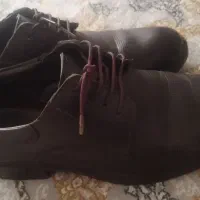 کفش مردانه|کیف، کفش، کمربند|ساوه, |دیوار