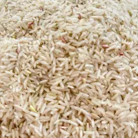 برنج ایرانی شیروان چرداول ایلام|خوردنی و آشامیدنی|کرمانشاه, |دیوار