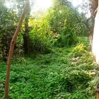 باغ و خانه کلنگی