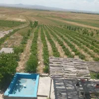 باغ با بوته‌ای گل و درخت