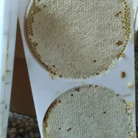 عسل طبیعی خود بافت