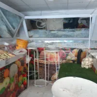 وسایل میوه فروشی