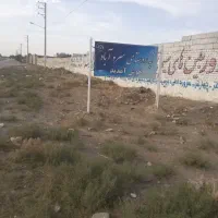 زمین-زعفرانی-700-متر-با-گل-زعفران-دور-دیوار