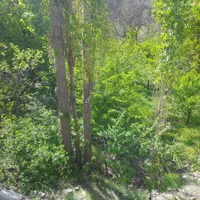 باغ روستای گردشگری مج