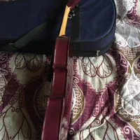 ویولون رنگ زیبا|ویولن|رشت, بلوار گیلان|دیوار