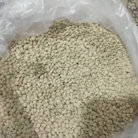 عدس تروتمیز به قیمت شگفت انگیز