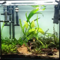 اکواریوم ریملس پلنت ۶۰ سانت