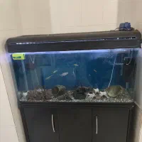 آکواریوم درجه یک