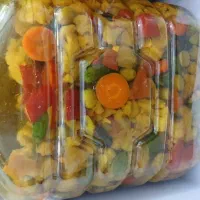 ترشی خانگی و خاص نازخاتون(فروش انواع ترشی)|خوردنی و آشامیدنی|میبد, |دیوار