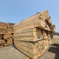 به یک برشکار چوب و یک کارگر فنی و یک نگهبان