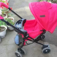 کالسکه دلیجان|کالسکه و لوازم جانبی|بندر انزلی, ساحل قو|دیوار