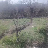 فروش-باغ-زمین