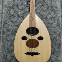 عود حرفه ای