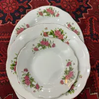 ظروف گل سرخی