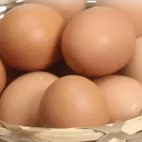 تخم مرغ