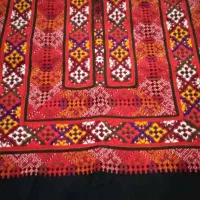 زیاستین خزان گندم