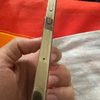 ایفون ۱۲پرومکس|موبایل|شیراز, حومه شیراز|دیوار