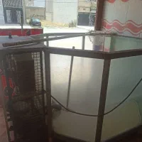 آکواریوم ماهی قزل الا زنده