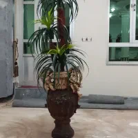 گل وگلدان مصنوعی|گل مصنوعی|اهر, |دیوار