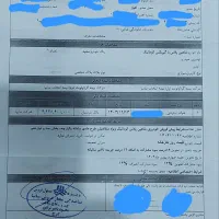 حواله شاهین پلاس اتومات|خودرو سواری و وانت|کرج, باغستان|دیوار