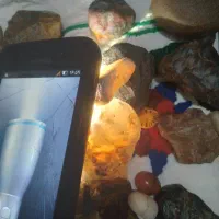 انواع سنگ طبیعی|جواهرات|خواف, |دیوار