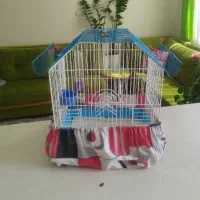 قفس پرنده مناسب عروس هلندی  طوطی طوطی برزیلی