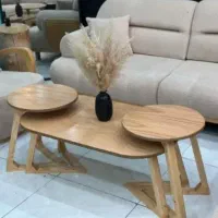 جلومبلی و عسلی به قیمت تولیدی|مبلمان خانگی و میز عسلی|مشکیندشت, |دیوار