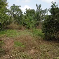 خانه باغ قدیمی بقیمت محله تهرانی نشین|فروش خانه و ویلا|دابودشت, |دیوار