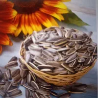 تخمه علا شور لیمویی