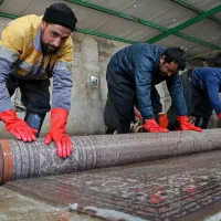 مبلشویی و قالیشویی شمالیا|خدمات نظافت|محمودآباد, |دیوار