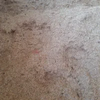 کاه گندم