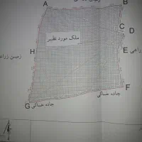 زمین کشاورزی