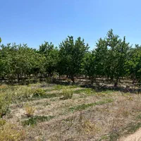 زمین کشاورزی ۴۸۰ متر بدون دیوار|فروش زمین و ملک کلنگی|اصفهان, کارلادان|دیوار