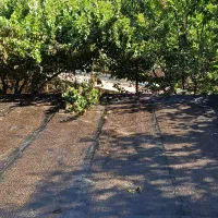 نصب ایزوگام شرق و لکه گیری کلی و جزئی سراسر مشهد|خدمات پیشه و مهارت|مشهد, هفده شهریور|دیوار