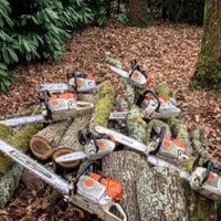 خریدار انواع درخت وچوب،هرس و برش با اره بنزینی