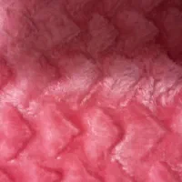 پتو ورومیری|رختخواب، بالش، پتو|تهران, باغ فیض|دیوار