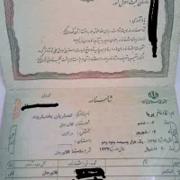 شناسنامه پیداشده وکارت