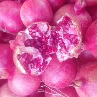 انار درجه یک با تناژ بالا سیاب