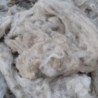 پشم گوسفند