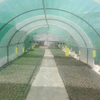 سازه گلخانه|مصالح و تجهیزات ساختمان|مشهد, چهاربرج|دیوار