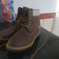 نیم بوت مردانه|کیف، کفش، کمربند|گنبد کاووس, |دیوار